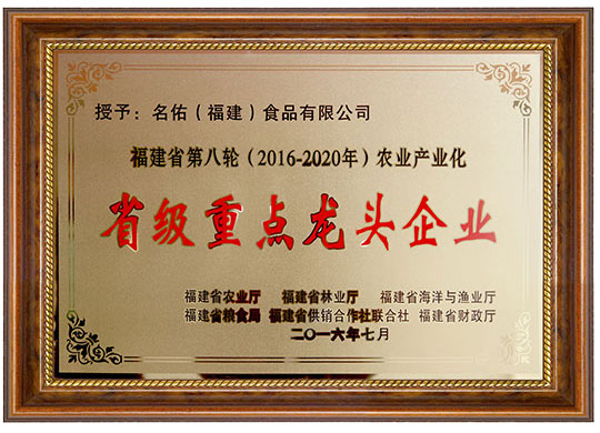 2016省級重點(diǎn)龍頭企業(yè)